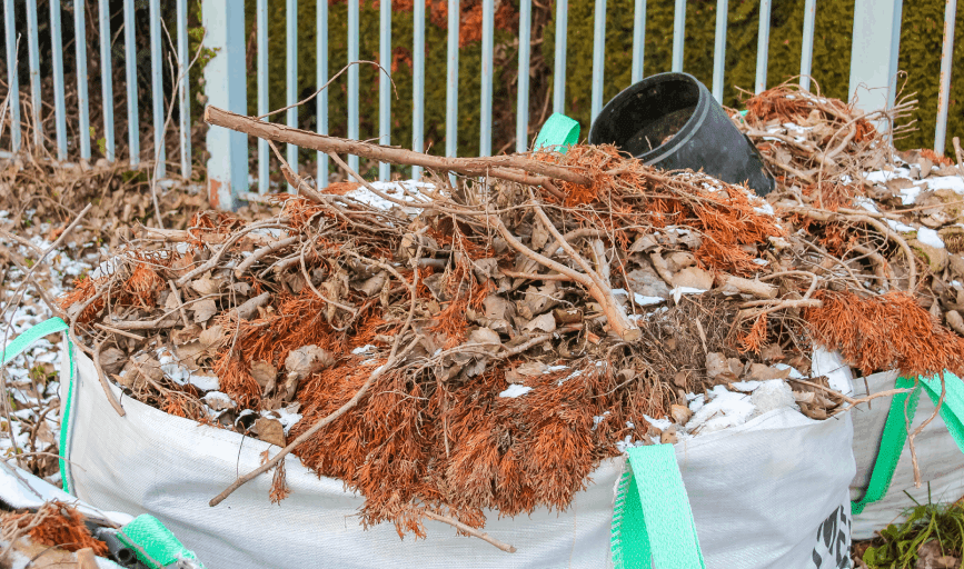 Yard Debris Removal